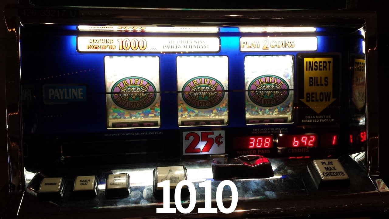 Experiência VIP 1010